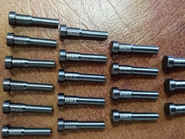 Hardware mold